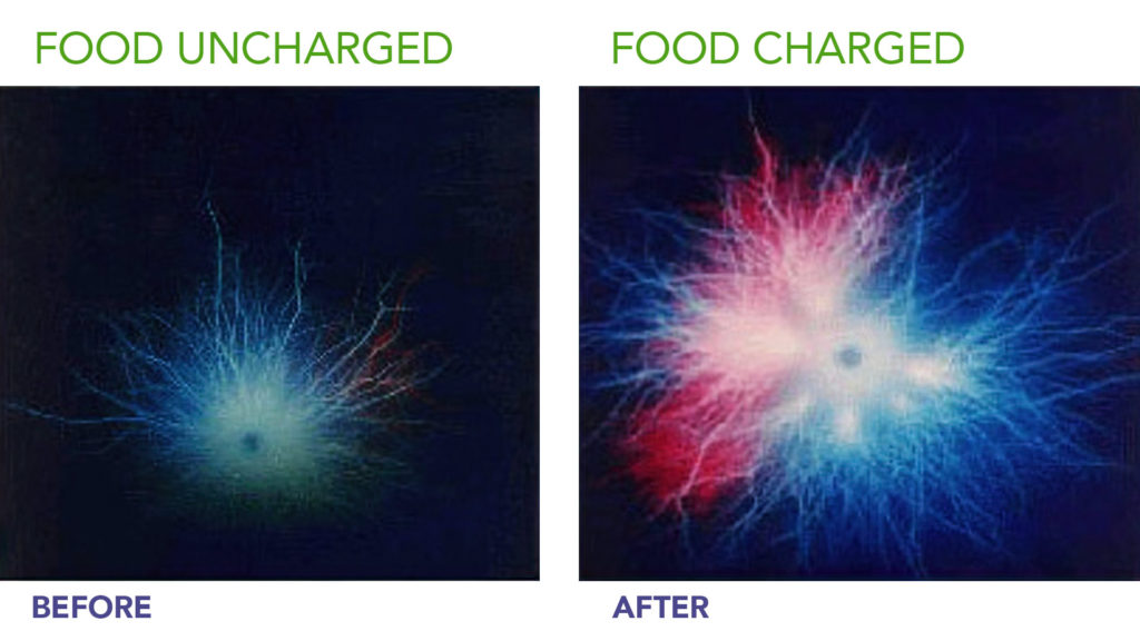 Before and after using the Energy Enhancement System. Food that has been charged using the EE System.