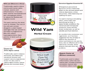 Wild Yam Infographic